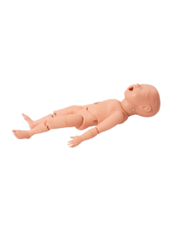 TERM FETUS 